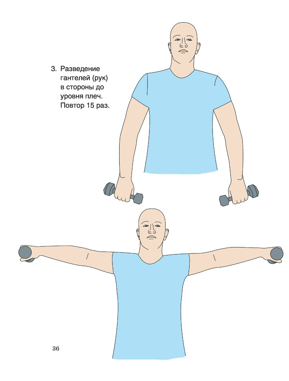Шишонин упражнения для спины
