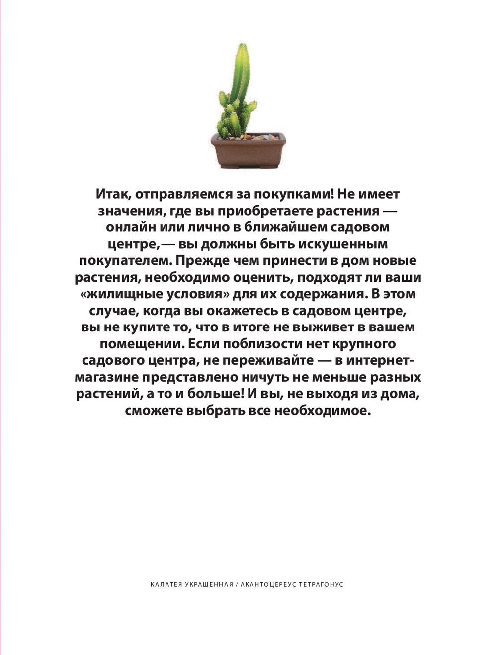 Как ухаживать за растениями, чтобы они полюбили тебя Морган Доан, Эрин  Хардинг - купить книгу Как ухаживать за растениями, чтобы они полюбили тебя  в Минске — Издательство Бомбора на OZ.by