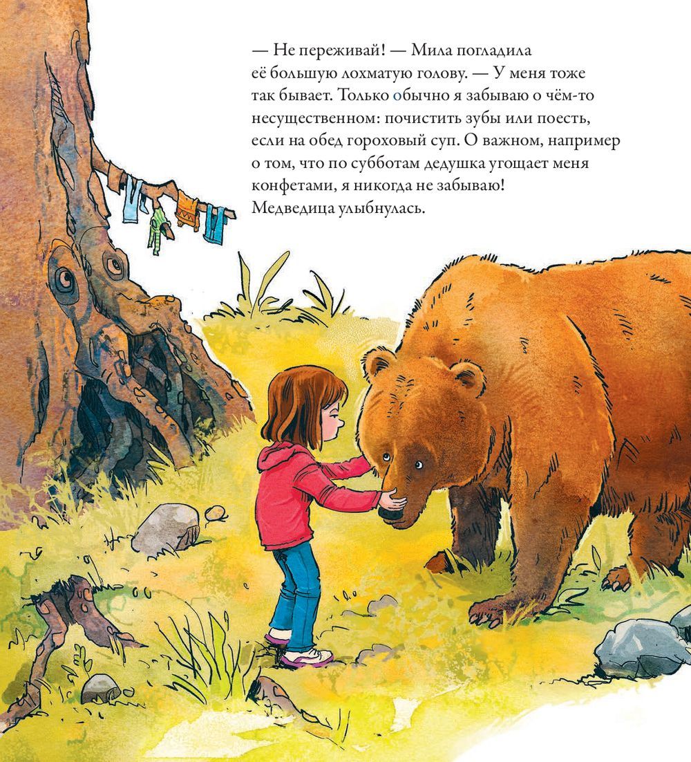 Сказки для детей про медведя читать с картинками