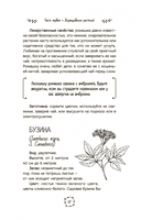 Маленькая книга трав — фото, картинка — 15