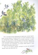Зеркальный дом озёрной чайки — фото, картинка — 2
