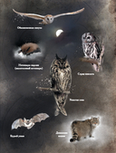 Травология Средневековья. Чудодейственные растения, древние рецепты и непостижимые тайны трав — фото, картинка — 15