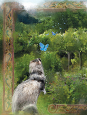 Травология Средневековья. Чудодейственные растения, древние рецепты и непостижимые тайны трав — фото, картинка — 4