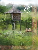 Травология Средневековья. Чудодейственные растения, древние рецепты и непостижимые тайны трав — фото, картинка — 5