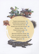 Подводный мир — фото, картинка — 2