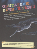 Подводный мир — фото, картинка — 3