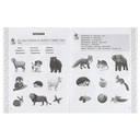 Развитие речи. Рабочая тетрадь для средней группы детского сада. От 4 лет — фото, картинка — 2