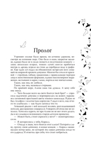 На крыльях — фото, картинка — 2