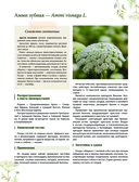 Травник. Большая энциклопедия лекарственных растений — фото, картинка — 14