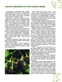 Травник. Большая энциклопедия лекарственных растений — фото, картинка — 7