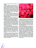 Травник. Большая энциклопедия лекарственных растений — фото, картинка — 8