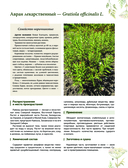 Травник. Большая энциклопедия лекарственных растений — фото, картинка — 9