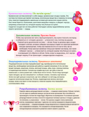 Человек! 365 вещей, которые нужно знать про наше тело — фото, картинка — 5