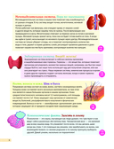 Человек! 365 вещей, которые нужно знать про наше тело — фото, картинка — 6