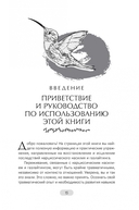 Нарциссическое насилие и газлайтинг. Навыки диалектической поведенческой терапии — фото, картинка — 5
