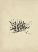 Нечистая сила. Темные духи русского фольклора — фото, картинка — 6