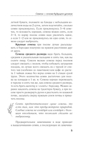 Рассада для начинающих. Первые шаги к богатому урожаю — фото, картинка — 5