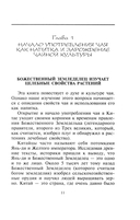 Китайское искусство чаепития — фото, картинка — 3