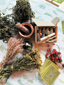 Шаманчай: год в гармонии с природой. Книга о растениях, их силах и применении — фото, картинка — 11