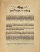 Колбаса без свинины. Как сделать колбасу и не подложить свинью. #no pork — фото, картинка — 6
