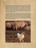 Колбаса без свинины. Как сделать колбасу и не подложить свинью. #no pork — фото, картинка — 7