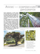 Большая книга о растениях. 1001 фотография — фото, картинка — 10