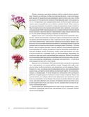 Ботаническая иллюстрация с удовольствием. Пошаговое руководство по изображению цветов, листьев, плодов и других элементов растений — фото, картинка — 5