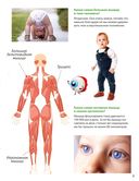 Всё о теле человека малышам — фото, картинка — 3