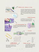 Квиллинг от А до Я. Полный практический курс от китайского мастера — фото, картинка — 11