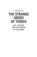 Странный порядок вещей — фото, картинка — 2