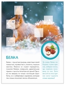 Кто живёт в лесу? — фото, картинка — 3