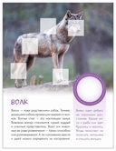 Кто живёт в лесу? — фото, картинка — 4