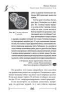 Квантовая биомеханика тела. Методика оздоровления опорно-двигательного аппарата человека. Часть 3 — фото, картинка — 15