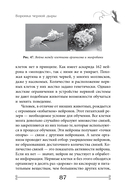 Квантовая биомеханика тела. Методика оздоровления опорно-двигательного аппарата человека. Часть 3 — фото, картинка — 16