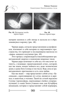 Квантовая биомеханика тела. Методика оздоровления опорно-двигательного аппарата человека. Часть 3 — фото, картинка — 19