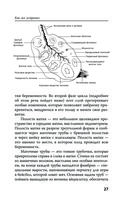 Добрая книга будущей мамы. Та самая книга, которая помогает забеременеть — фото, картинка — 30