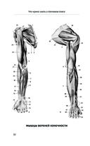 Боли в плече, или Как вернуть подвижность рукам — фото, картинка — 30