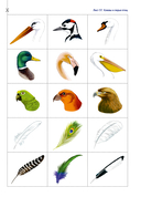 Природа в развитии и воспитании детей дошкольного возраста. 5-7 лет — фото, картинка — 12