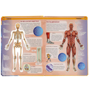 Тело человека — фото, картинка — 3