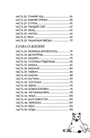 Кот-с-коготок — фото, картинка — 2