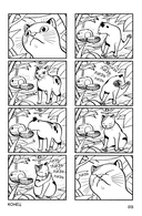 Кот-с-коготок — фото, картинка — 10