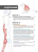 Анатомия фитнеса и силовых упражнений: иллюстрированный справочник по мышцам в действии — фото, картинка — 1