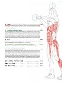 Анатомия фитнеса и силовых упражнений: иллюстрированный справочник по мышцам в действии — фото, картинка — 2