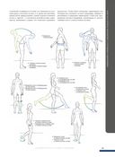 Анатомия фитнеса и силовых упражнений: иллюстрированный справочник по мышцам в действии — фото, картинка — 8