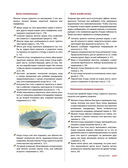 Каково быть птицей. О полетах и гнездовании, кормлении и пении — фото, картинка — 18