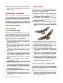 Каково быть птицей. О полетах и гнездовании, кормлении и пении — фото, картинка — 19