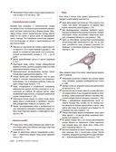 Каково быть птицей. О полетах и гнездовании, кормлении и пении — фото, картинка — 21