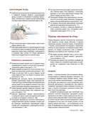 Каково быть птицей. О полетах и гнездовании, кормлении и пении — фото, картинка — 26