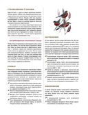 Каково быть птицей. О полетах и гнездовании, кормлении и пении — фото, картинка — 27