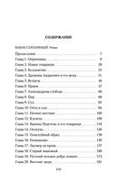 Князь Серебряный — фото, картинка — 25